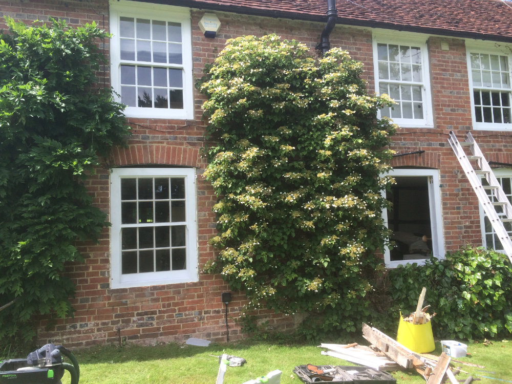 Can New Wood Windows Improve The Value Of My Home?