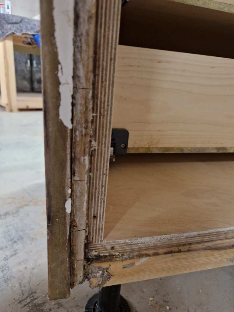 JJ Group Dry Rot Check