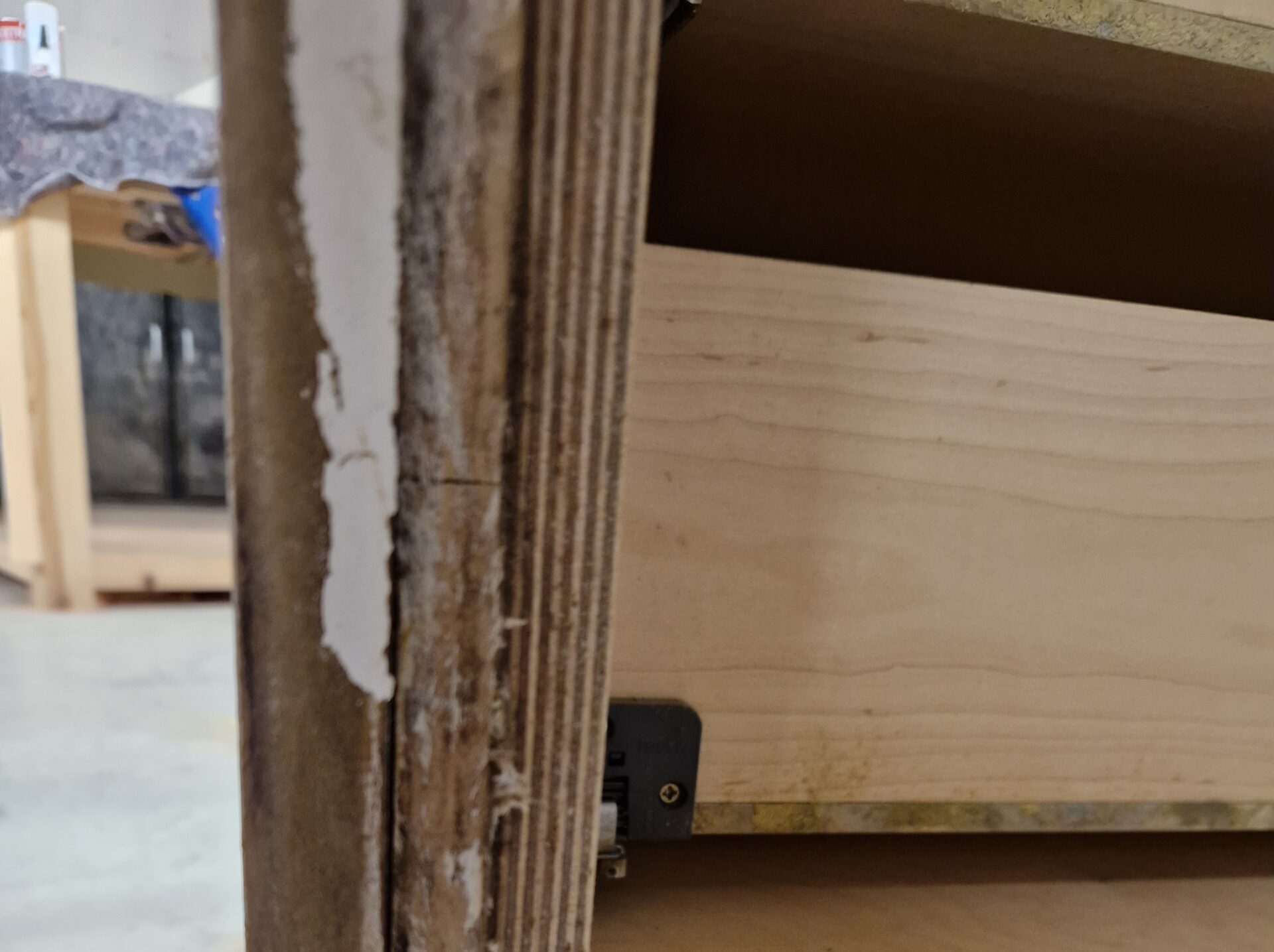 JJ Group Dry Rot Check